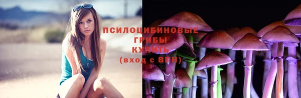 а пвп мука Абаза
