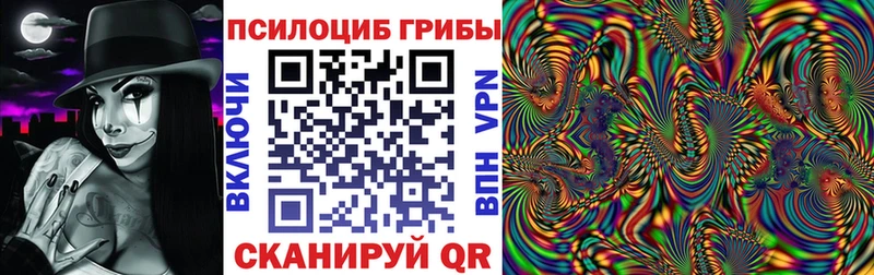 Псилоцибиновые грибы Psilocybine cubensis  mega рабочий сайт  Ильский  цена наркотик 