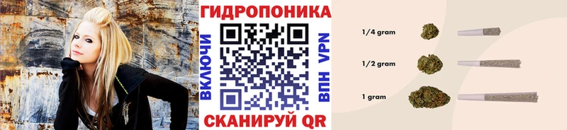 кракен маркетплейс  Ильский  Шишки марихуана конопля  закладка 